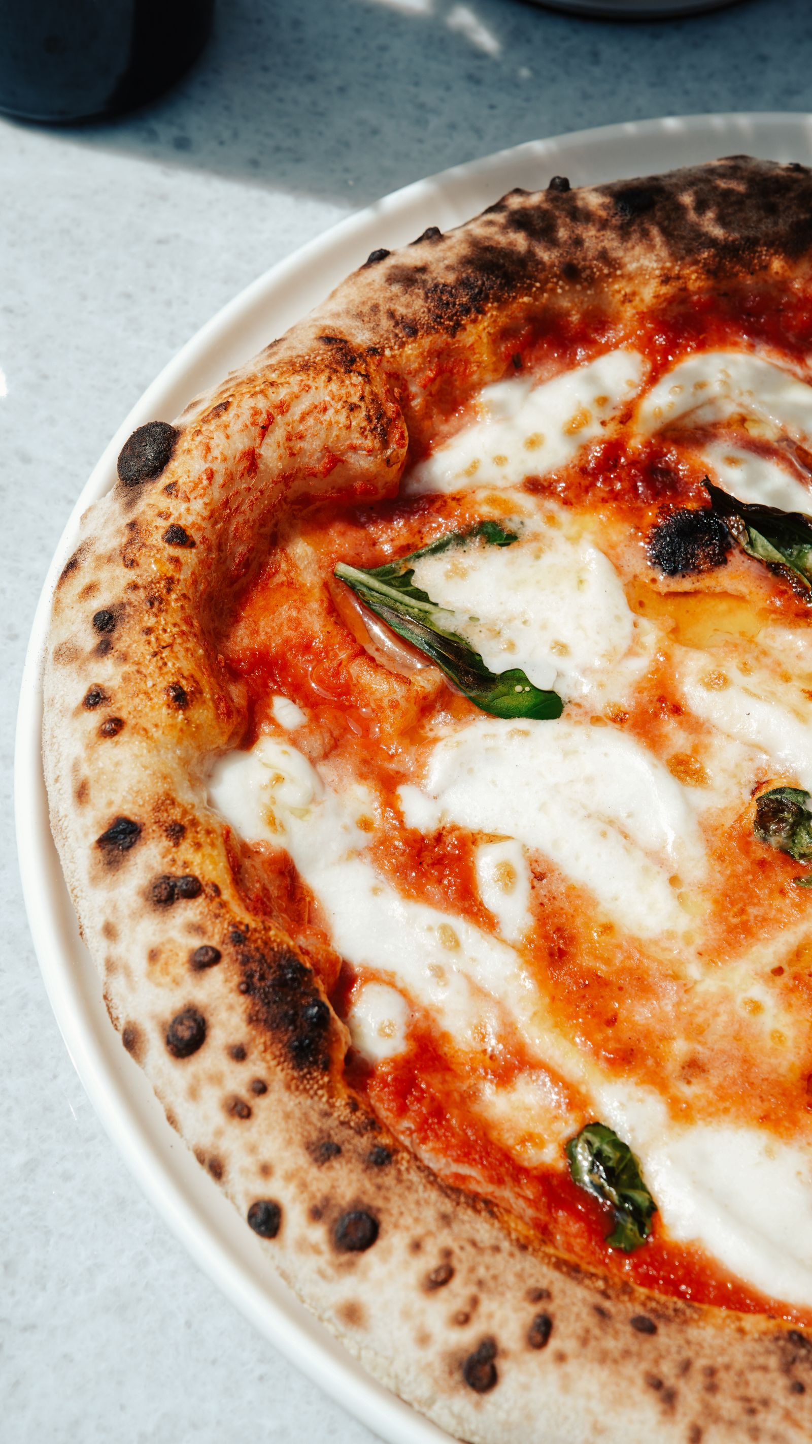 Pizza Margherita segar